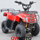110CC Mini ATV Quad (QW-ATV-01C)