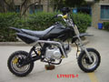 110cc Dirt Bike (LTDB110-1)
