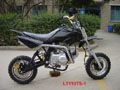 110cc Dirt Bike (LTDB110-1)