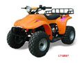 125cc EEC ATV