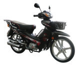 Motorcycle (GW110-E)