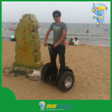 Okayrobot Battery Operated Car, Personal Transporter Scooter with LiFePO4 Battery