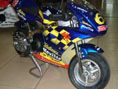 Pocket Bike (TP-PB011)