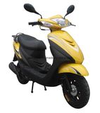 50CC Gas Scooter (JL50QT-13B)