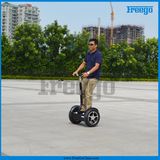 Folding Cheap Electric Bike Battery Operated, Two Wheel Electric Motor Bike