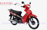 (YAMAHA CUB MOTORCYCLE) SM110