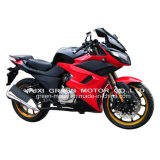 300cc/250cc Oil-Cooled/Oil Cooling Engine, 300cc Sport Motorcycle, Sport Racing Motorcycle, Racing Motorcycle (X-TERCEL)