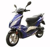 Paladin Scooter 50cc/125cc (HD50QT-12A/HD125T-12A)