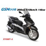 Gas Scooter (XY300T-5)
