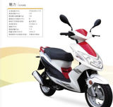 Sanyou Holding Group 125cc-150cc Asia Market Scooter Charme