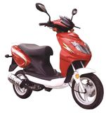 Scooter (ZX50QT-19)