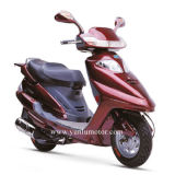 50cc Gas Scooter (YL50QT-4)