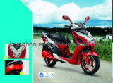 Electric Motorcycle (YHEM-8)