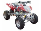 200cc EEC ATV / Quad (DP-ATV200(EEC)-J)