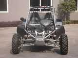 Black 500CC Go Karts With EEC (RLG1-500DZ)