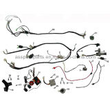Scooter Electrical Parts Wires with Ignition Assembly (SC017)