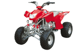 ATV/Quad (WJ250ST-2)