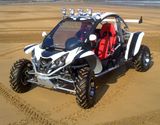 500cc 4X4 Racing/Hunting/Fishing/Camping Buggy/Go Kart/ATV/Quad