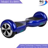 Two Wheel Scooter Electric Scooter, Self Balancing Electric Scooter Es-B001