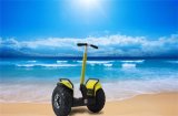 Factory Supply 19 Inch Self Balance Mobility off-Road Electric Scooter with LED Display