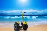 Factory Supply 19 Inch Self Balance Mobility off-Road Electric Scooter with LED Display