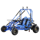 CE Approved 110cc Go Cart (DMB110-04)