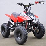 CE 110CC ATV/110CC Quad Bike (QWATV-02A) for Kids