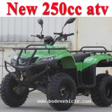 New 250cc ATV Quad for Sale