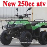 New 250cc ATV Quad for Sale