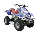 110cc, 4-Stroke, Single-Cylinder With Air-Cooled ATV (ATV-025)