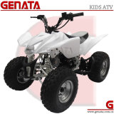 110cc Electric Start Engine Kids ATV Flying Tiger (ATV-6 Series)