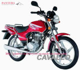Motorcycle (SM150-TB)