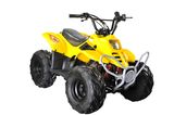50cc / 70cc / 110cc Kids Mini ATV with One Seat (MDL GA001)