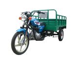 Three Wheel Motorcycle (DF110)