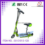 2 Wheels Electric Scooter (SX-E1013-120)
