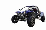 1100CC 4x4 Dune Buggy Go Kart