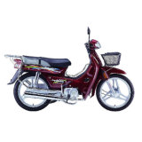 110CC Cub Motorcycle (FK110 Dayang)