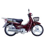 110CC Cub Motorcycle (FK110 Dayang)