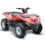 300cc EEC ATV (ATV300)