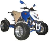300CC EEC ATV (DP-ATV300(EEC)-C)