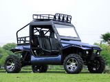 1100CC Sand Beach Buggy 4X4