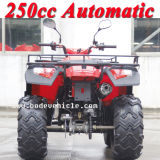 New 250cc Bode Quad Automatic Sports ATV (MC-356)
