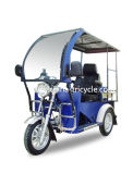 Handicapped Tricycle with Front Rain Canopy (DTR-3)