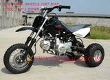 New Three Wheels Dirt Bike (PL-DB08) 110cc