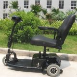 3 Wheel 200W Light Duty Electric Mobility Scooter (DL24250-1)