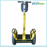 Adult Balance Electric Scooter with Two Wheel, Mobility Scooter for Fun