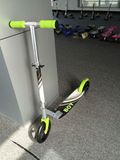 En71 Approved Boys Two Wheels Kick Scooter (LDLS14)