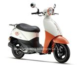 Cute Design Best Quality 50cc Adult Scooter