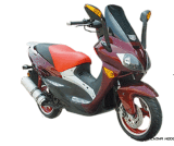 Gas Scooter (QLM150T-6)