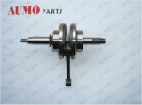 139fmb 50cc 147fmd 70cc Motorcycle Engine Parts (ME022000-0060)